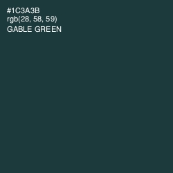 #1C3A3B - Gable Green Color Image